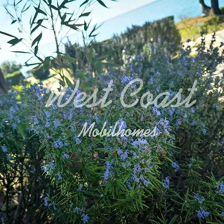 West Coast Mobilhome With Xxl Terrace In Naturist Solaris Fkk Semesterpark